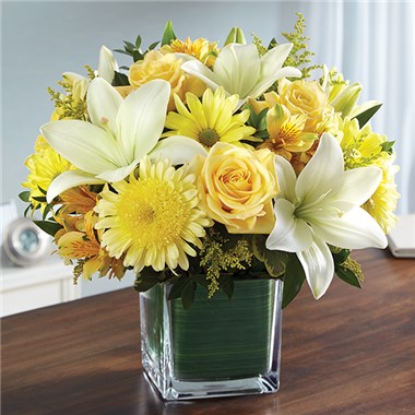 Healing Tears&trade; Yellow & White