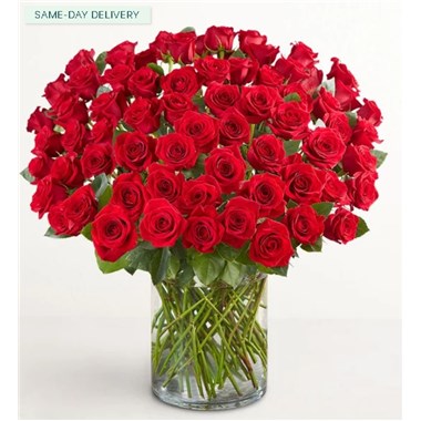 100 Premium Red Roses In A Vase